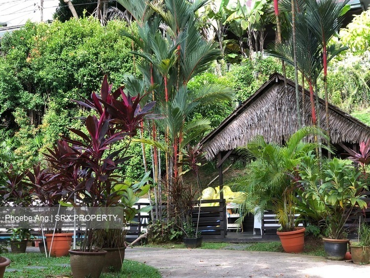 Raffles Park (D11), Detached #438559421